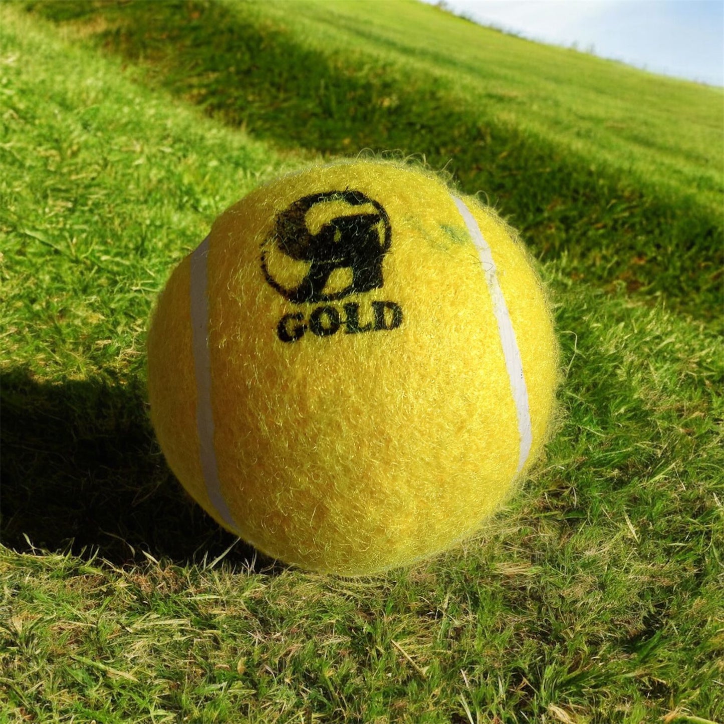 Tennis Ball CA Gold - Kid Zone PK