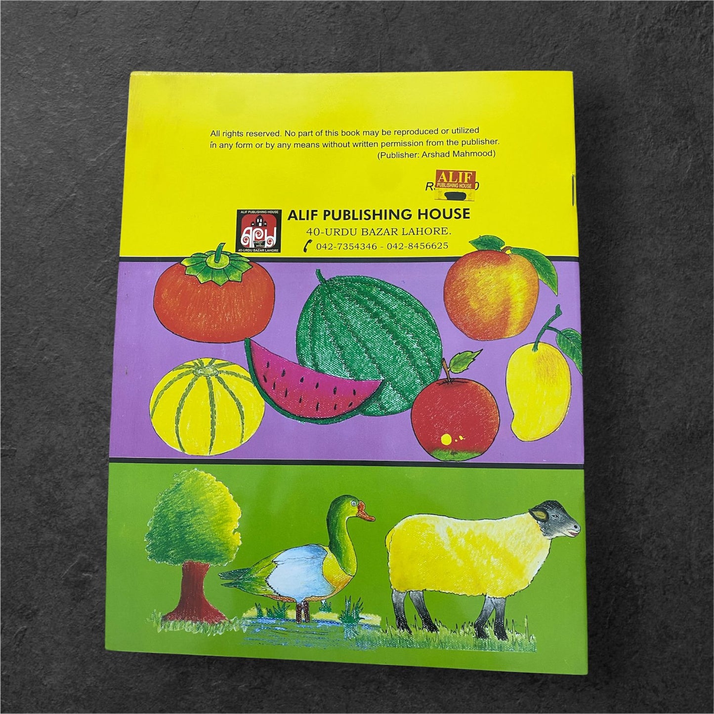 Coloring Book (Fun of Colors) - Kid Zone PK