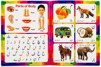 3 in 1 Learning Cards – ABC, Numbers & Urdu