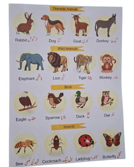 28 in 1 Write & Wipe Book for Kids