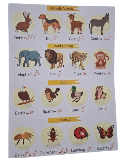 28 in 1 Write & Wipe Book for Kids