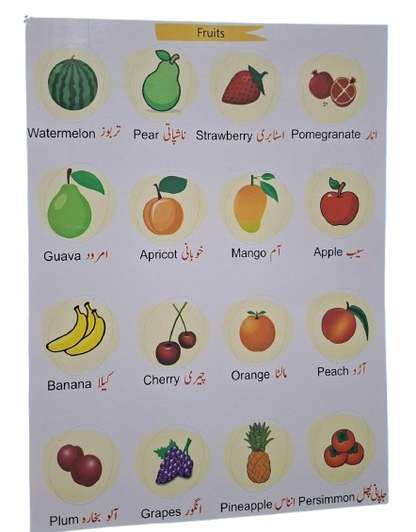 28 in 1 Write & Wipe Book for Kids